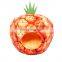 Manufacture Sale Customized Pineapple Fruit Pet Dog Bed