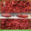 New crop goji berry of 500 grains per 50 gram