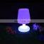 indoor or outdoor decorative  illuminated cordlessled table lamp for kids reading