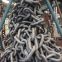 68mm GBT-549 2017  Anchor Chains with Cert-China Shipping Anchor Chain
