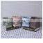 Customer Oriented Classic Home Standing Cheap Outdoor Garden Supplies Cute Flower Pot