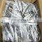 Small package IQF WR sardine fish for fishing bait
