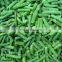Fresh IQF Cowpea IQF Cut Long Bean X Ray Frozen Asparagus Bean