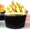 Foil Metallic Cupcake & Muffin Liners Standard Baking Cups 100 Pcs