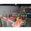 UV Drying Machine