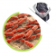 Chinese Supplier Supply Food Grade Lactobacillus Crispatus Probiotic Powder For Female Probiotic