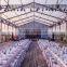 Customized clear span frame clear wedding tent with white pvc cover                        
                                                Quality Choice