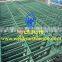 Werson werson Powder coated wire mesh fence (20 years factory supply)