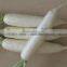 Potato Peeling Machine/potato(brush) peeling machine/potato washer