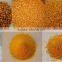 100T China factory sifted flour mill machinery qingdao to Africa