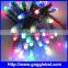 Programmable Single pixel Light 12mm Decorative Plastic Lantern String Lights