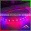 Red and Blue Color Grow Light Flexible Led SMD 5050