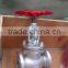 JIS Cast Steel Globe Valve