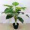 fresh design cheap artificial plants artificial money tree