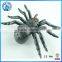 Halloween Spider Decoration Accessories Toys