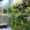 Artificial plants outdoor green wall , foliage wall decoration , fern wall decore plastic plant