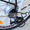 20 inch 36volt beautiful design folding electric bicycle
