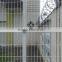 Galvanized Welded wire mesh fence panel ( Manufacturer )