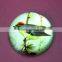decoration new design paperweight