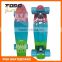 2013 theoem skateboard custom skateboarding mini longboard fish skateboard
