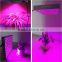 Color change dimmable 45w plant led grow light with one year warranty                        
                                                Quality Choice