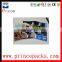 Customized Stand up Pet Food Bag, Pet Food Packaging Bag, Plastic Pet Food Bag
