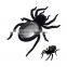 Solar Spider Tarantula Educational Robot Scary Insect