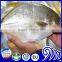 GRADE A Whole Round Frozen Golden/Black/silver Pomfret Fish Pomfret Fish