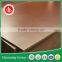 Made in china plywood 1220*2440*18 mm