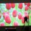 led beamer projector indoor 5000Lumens 1280*800 Native resolution projector