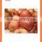 Bulk Best quality fresh products onion