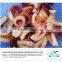 Frozen price baby octopus