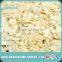 High quality Raw blanched sweet apricot kernels, apricot kernels in shell.