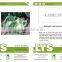 CF13 XJ no.3 70 days f1 hybrid white cauliflower seeds, different types of cauliflower seeds for sowing