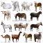 This is the best feed which can promote the normal growth and development of theanimal against the disease