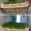 Hot sale bud seeding machine/ seed planting machine for sale