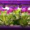 VANQLED Indoor Horticulture Farm LED Lighting 30w 4ft With Daisy-chain,CE,RoHS Approved