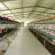 Sri lanka prefabricated house for capsule hotel/prefabricated light steel structure chicken farm building with full equipment