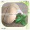 unfinished wooden mushroom cuboid shape slot box