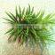 Home and outdoor garden edging christmas decoration 60cm or 24inches Height artificial small grass for green wall E04 1025