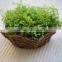 iron frame willow body wicker baskets for plants with plastic lining