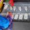 frozen tordarodes and argentina squid tube U10,U5