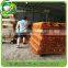 Wooden Broom and MOP Holder Poplar and LVL Wood Handle Stick Fsc Certifiedcustomized