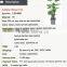 Indoor home decorative artificial bonsai tree for sale and for hotel and house landscape