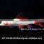Rainbow Shark Albino / Ornamental Fish Exporter
