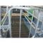 Sell Farrowing crate for pig