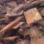 Used Rails, HMS, Steel Scraps, Copper Scraps, Aluminum Scraps, Mill Scale.