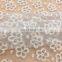 OLF15234 Freshness flower design nylon organza with cotton yarn nice lace fabric