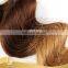 Hight Quality Wholesale unprocessed virgin brazilian hair ombre hair extensions natural wave