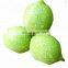Walnut sheller/stripper/peeler machine / Walnut green skin peeler